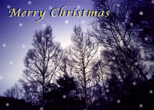 xmas card